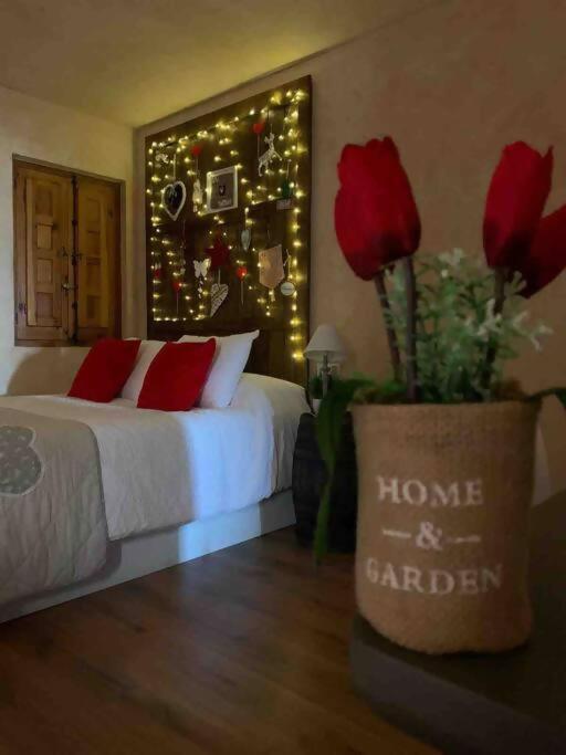 Luxury Danna Plaza Mayor Cuenca  Exteriör bild